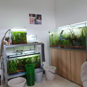 Publication de Minipote768