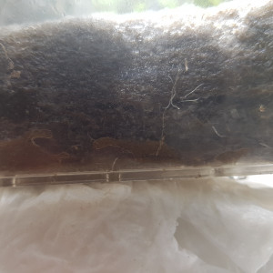 Publication de patricia1410