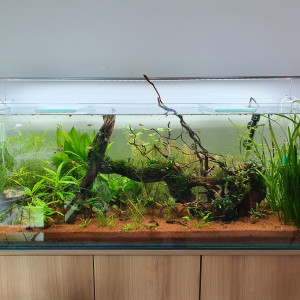 Publication de Minipote768