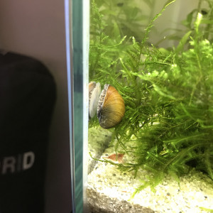 Publication de Aquata