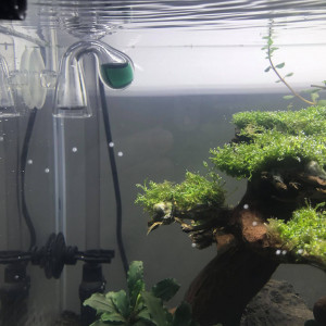 Publication de Aquata