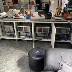 Publication de reynald-r