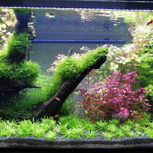 Publication de ChrisdeReims