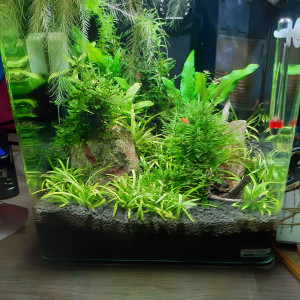 Publication de Fouch1