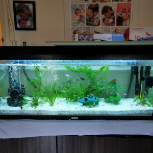 120l