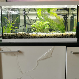 55l