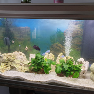 Publication de nonop