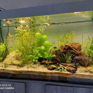 Publication de Nicolas06240