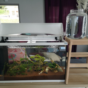 Publication de Personn02