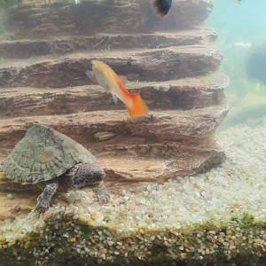 Publication de cristina-rocamora-aparicio