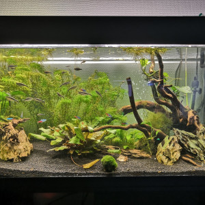 Bac amazonien 130L