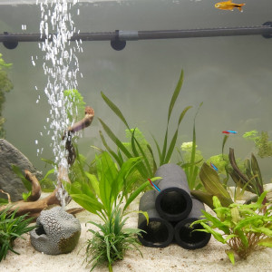 Publication de Emy34