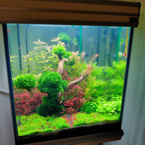 Publication de Discusmania59