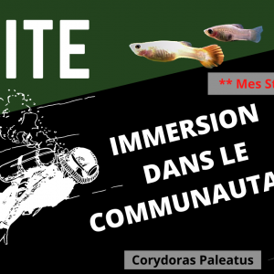 Publication de MarleneMLX