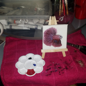 Publication de Lulu82