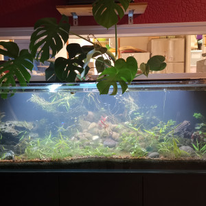 Publication de Arzos