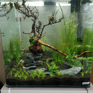 Nano Cube Dennerle 60l