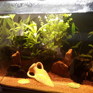 FLUVAL 57 litres