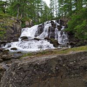 aurelie-liputienne