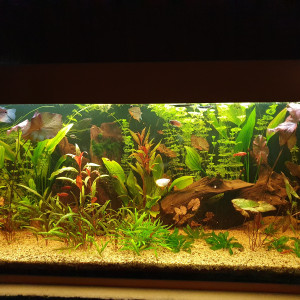 450L brut
