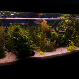 180l