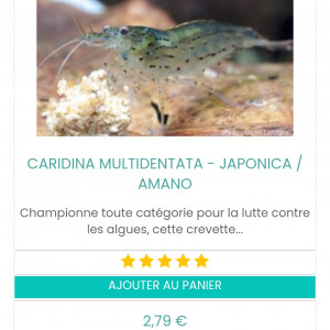Publication de Mevew