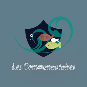 Publication de Lulu82
