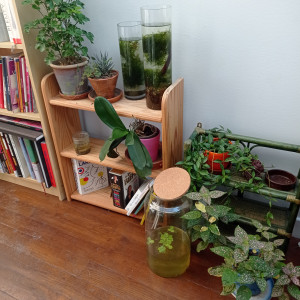 Publication de Stef7524