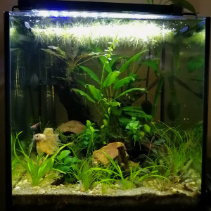 Seapora 7.5