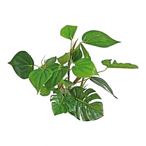 Plante artificielle Anubias 20cm