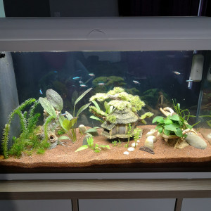 Publication de Personn02