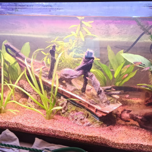 Publication de axoubad