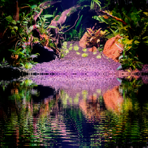 Publication de John42riorges