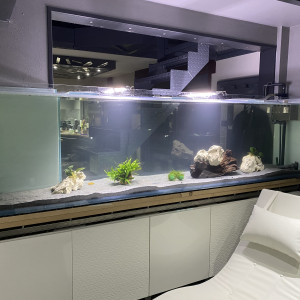 Publication de reynald-r