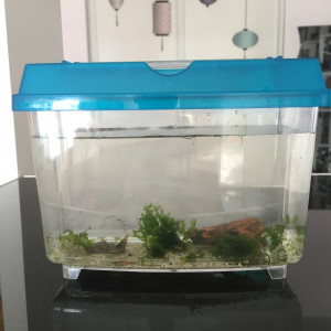 Publication de mmichel20