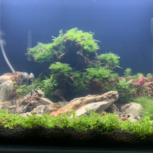 Publication de Niko72460