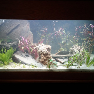 1ere aquarium