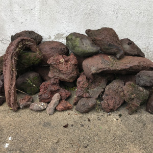 Publication de Db63100