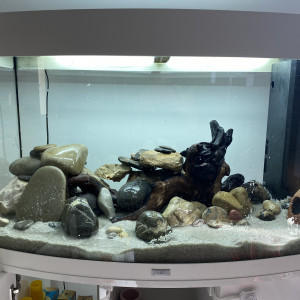 Publication de lauriane-thevin