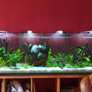 Publication de shanganagh-takhisis