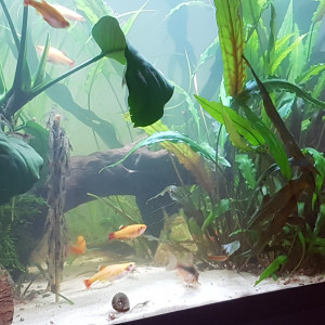 Publication de Mevew