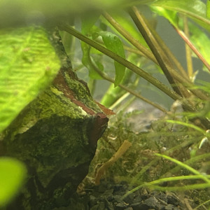 Publication de Anto75