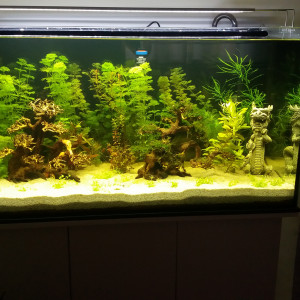 Publication de Kinozo