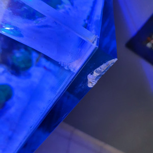 Publication de Baloo