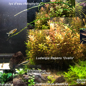 Publication de MayaB