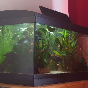 Publication de Mevew