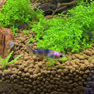 Publication de AudreyR