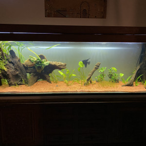 600 L