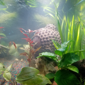 Publication de Lulu82