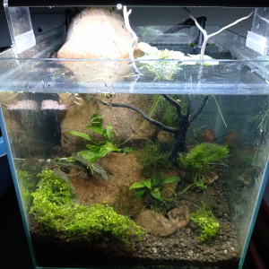 Publication de Stef7524